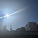 대연동 카페 메그네이트(MAGNATN)