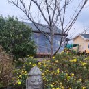 태흥 예술극장 이미지