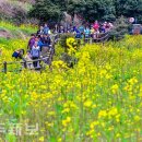 색달동-19 이미지