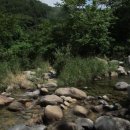 박달삼거리_동 이미지