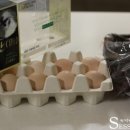 백봉목장 이미지