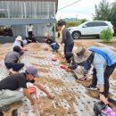 마라농장 이미지