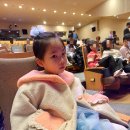 민지커텐