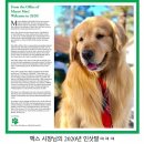 멍멍이 이미지