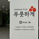 매일푸룻 네이버블로그
