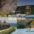 주식회사 버드소리 | 일본 교토 여행 코스 10, 봄 가을 추천 여행지 교토에서 꼭 가야할 곳들만 골라