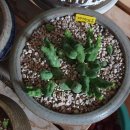 내서읍121 이미지