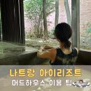 아이리조트 머드하우스 이용 팁부터 후기까지 정리!