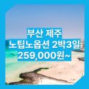 부산_제주도_2박3일 #관광패키지 #노팁노옵션 #석석 / 부산 제주도 패키지 여행