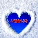 Utada Hikaru - Fly me to the moon (In other words) 이미지