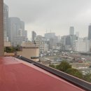 [공지] 179_주간일기 (네스트 라이즈 앤 오사카 난바 호텔/오사카성/텐노지 동물원/도톤보리 야경 및 맛집)