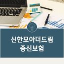 드림보험