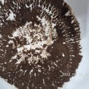 경희보성한의원 이미지