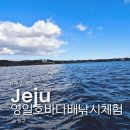 제주도배낚시 서귀포바다낚시체험 제대로 했던 영일호바다배낚시체험 후기