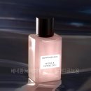 peony 이미지