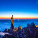 미인열차 이미지