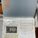 하브루타 문해력 | [내돈내산] 종이신문구독 후기 - 문해력향상 신문하브루타 학습법 및 신문구독료/사은품/위약금 총망라