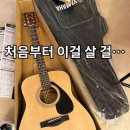 통기타 | 야마하 F310 NT D바디 후기｜저렴이 기타 쓰다가 다시 산 입문용 통기타