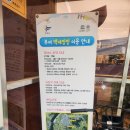 궁남지 전기자전거 대여소 | 부여 궁남지 전기자전거 백제씽씽 대여위치 이용방법 정리!