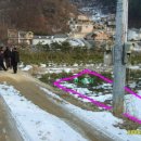 홍주대서 이미지