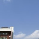 사랑가득 희망 태권도장 이미지