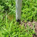 다래농장2 이미지