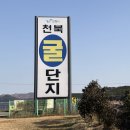 평안여관 | 충남 보령·예산 겨울 당일치기 여행｜바다·사찰·역사·온천 힐링코스 총정리