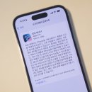 에스텔리트 이미지