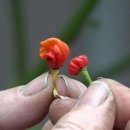 용식목장 이미지