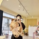 사랑미용실 - 청도군 고수동4길 7 | 사랑미용실