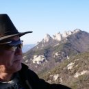 자연의 노래 이미지