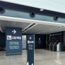 사랑방보청기 | 25. 유럽여행_영국(런던, 세븐시스터즈) 🇬🇧