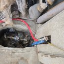 경기도 안성시 공도읍사무소 | 안성 공도읍 상가 앞 노후 황동 부동전 → 올스텐 부동전 긴급 교체 작업 후기