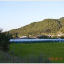 호랑이농장 이미지