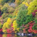 행정사법인 해사인 이미지