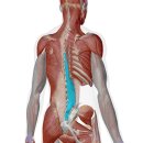 센스짐 24 인계점 이미지
