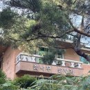 잣나무솔향기 이미지