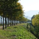 나무고아원 이미지