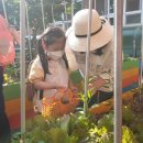 삼일초등학교병설유치원 이미지