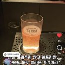 2024.06.21 기록_서대문 신라스테이 라운지 방문 후기 (feat. 맥주 무제한, 안주)