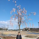 속초·양양 공인중개사사무소 | 여행 스트레스 벚꽃 축제 양양 장날 달래 속초 부동산 5일장 공인중개사 꽃 주식 남대천 계좌 개설 상담