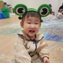 개구리화원 이미지