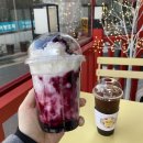 빡벳커피 좌천점