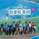 어울림투어