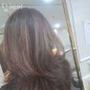 탑헤어 이미지