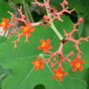 산호쉼터 이미지