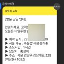 네일투킬