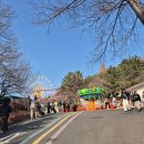 그리니김해 | 김해가야랜드 눈썰매 즐기기 내돈내산 후기