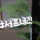 서프너리 이미지