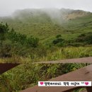 성산어촌계해녀의집